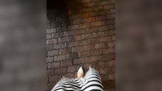 Meii-meyy 15.6.25 3