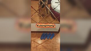 bé ghệ dâm em rên to quá khiến phòng bên ghõ cửa phản ánh - phần 1
