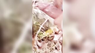 Dẫn người yêu đi leo núi rồi dạy em nó bú cu luôn địt nhau dâm đãng