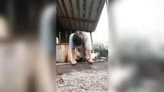 Em gái quê 16 tuổi khờ khạo tụt quần để cho chó liếm lồn.