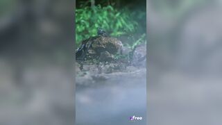 PHIM SEX TỔNG TÀI VÀ NỮ QUÂN NHÂN LỒN TO