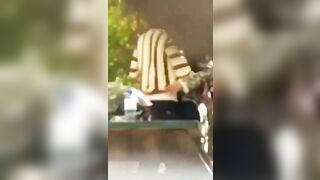 Quay lén sinh viên Ấn Độ địt nhau ngoài công viên dâm đãng