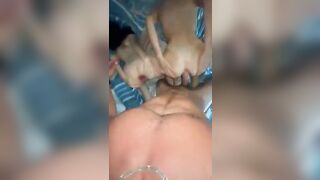 Tây chơi lỗ nhị hai em điếm Châu Á dâm dục