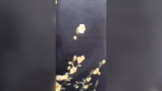 Ngày lễ em ở nhà xoa bím