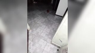 Sáng ngủ dậy tháng cháu họ giả vờ đi đái để trực tiếp quay lén lồn dì út đái sáng sớm