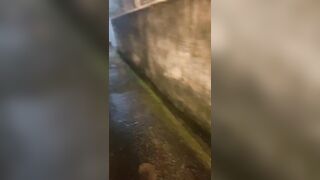"MẸ KẾ" DÂM ĐÃNG BÚ CẶC THẰNG CU NGAY NGOÀI ĐƯỜNG