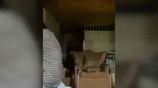 Em gái 2k9 cứ gạ đụ anh họ bị bế lên đụ cũng thật xứng đáng.