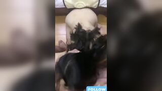 Ngủ dậy thấy em đang mút miệt mài