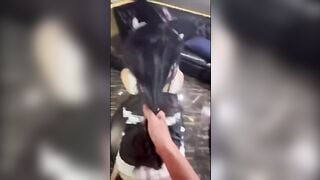 Clip cô gái gây sốt với phong cách nói chuyện sôi nổi