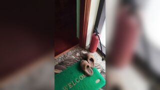 Kỷ niệm some Vũng tàu với hai bé xinh ngon - phần 4
