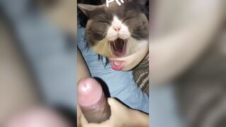 yêu phải bé dâm là sung sướng như thế này sao - phần 4
