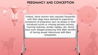 Giới thiệu giải thích cho ACE về thể loại Sex thú