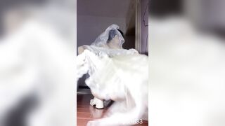 Siêu phẩm e mình dây tq thích nong lồn rộng ra bằng sextoy khủng,gu lồn to vô đây #1