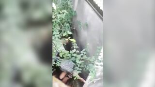 Đang ngắm cảnh thì thấy 2 em học sinh tìm chỗ vắng đụ nhau.