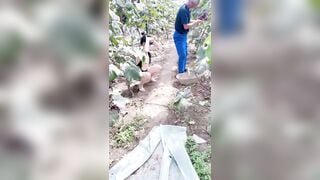 Chị gái khoả thân vào vườn mùa nho