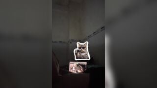 Có em ny như này sao ngoại tình được🤣 bé yêu 2k8 tân sinh viên NEU - phần 3