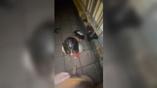 e gái dăm djt nhau trên cầu vượt full ảnh + clip dưới mô tả