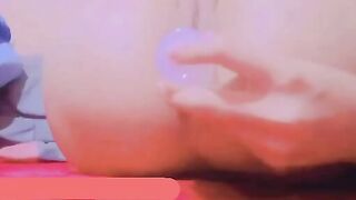 Bướm loli