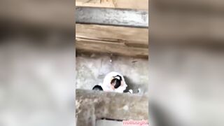 Học sinh lén bú liếm ngay ngoài ngõ
