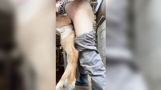 Thợ hồ nghỉ trưa địt chó kế bên người ta nghỉ ngơi ăn trưa nói chuyện