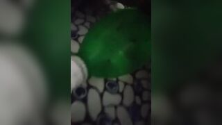 Xem full liên hệ nt giá 50k video 30 phút em lệ quyên *** lấy lồn cạ vào chai nước