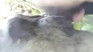 Siu tam