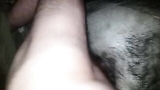 Địt lợn