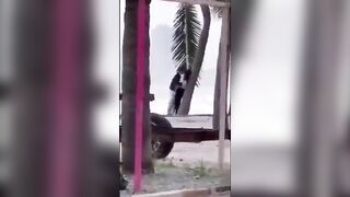 Đang buồn đi dạo bờ biển gặp phải đôi nam nữ này lại buồn hơn