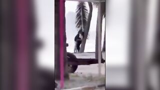 Đang buồn đi dạo bờ biển gặp phải đôi nam nữ này lại buồn hơn
