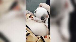 Tao chưa dậy thì thành công mày đã chơi tao rồi “Ấu Dâm” à