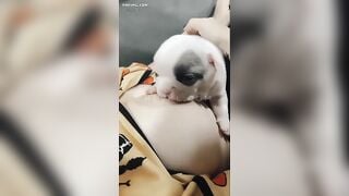 Tao chưa dậy thì thành công mày đã chơi tao rồi “Ấu Dâm” à
