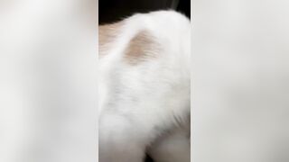 Nhỏ bạn thân lên cơn nứng thủ dâm