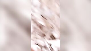 Chinese slut sucks and gets fucked in a wood ( liu Ting)