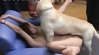 Con chó giả lẹo con chó thật