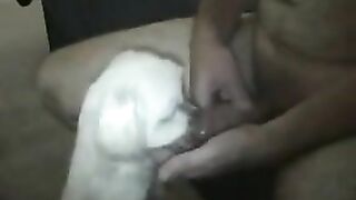 Tí tuổi đã mút chuyên nghiệp rồi