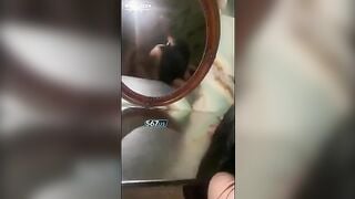 Chơi bé love 10 trước gương trong căn phòng tĩnh lặng . Gái non dáng nuột vkl