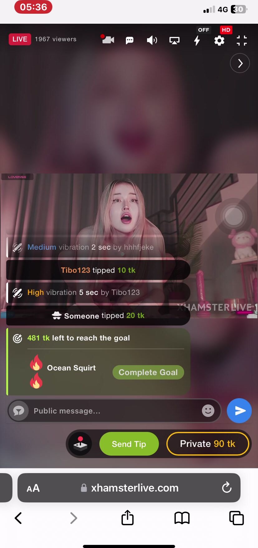 Stripchat 20