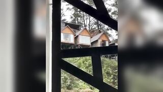 Đà Lạt view này chill thật, thằn lằn bám kính giữa ban ngày