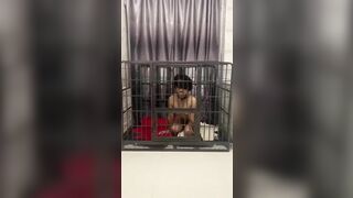 Em gái dâm đãng thích chơi some và bdsm 4