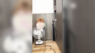 Phu phu dmg 2 em gái xinh live fb