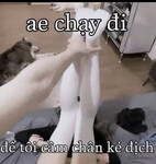 Níu kéo tình yêu