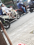 Duingonxinh
