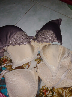 Soi đặc biệt 172